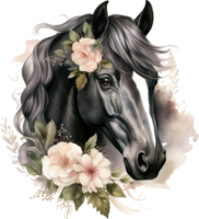 Black horse portrait isolated on transparent background. Watercolour illustration. png