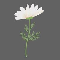 Daisy Flowers Decoration vector