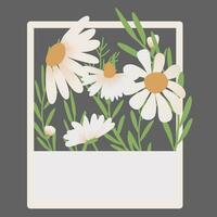 Daisy Flowers Decoration vector