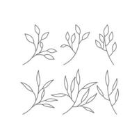 Leaves icon vector design line isolated white background