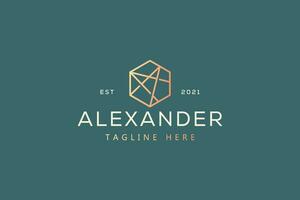 Abstract Hexagon Line Luxury Logo vector