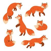 Set of cute red foxes isolated on white background. Vector graphics.