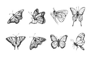 Hand drawn butterfly sketch set. Monochrome insects doodle. Black and white vintage elements. Vector sketch. Detailed retro style.