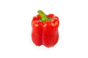 Sweet red pepper isolated on white background photo
