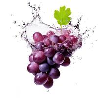 Fresh grape in water splash on white backround. Juicy fruit. photo