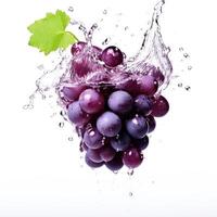 Fresh grape in water splash on white backround. Juicy fruit. photo