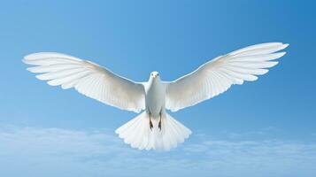 white dove in the blue sky generative ai photo