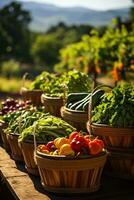 Baskets of fresh organic produce photo