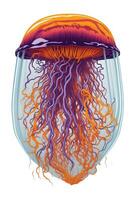 big colorful jellyfish on white isolated background photo