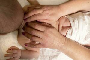 Masseur massaging little baby photo