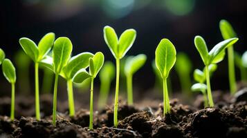 young sprouts of green  plants generative ai photo