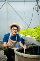 Researcher are checking with ph strips in hydroponic farm and pH level scale graphic, science laboratory greenhouse concept. at farm photo