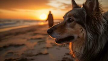 un leal perro mirando cariñosamente dentro sus del propietario ojos durante un puesta de sol caminar en el playa, ai generado foto