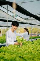 Researcher team in white uniform are checking with ph strips in hydroponic farm and pH level scale graphic, science laboratory greenhouse concept. photo