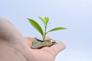 árbol creciente en oro y plata monedas , invertir con pequeño cantidades de dinero moneda ahorros foto