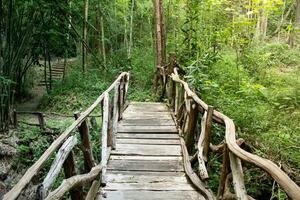 Wooden bridge over a stream in the forest photo