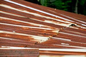 Rusty old zinc roof House roof Forest background photo