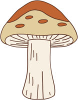 doodle freehand sketch drawing of wild mushroom mushroom. png