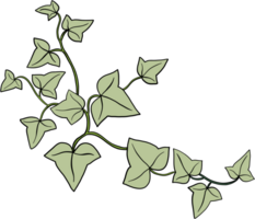 Simplicity ivy freehand drawing. png