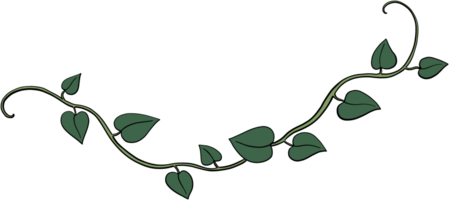 Simplicity ivy freehand drawing. png