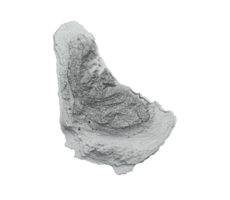 Barbados Map Barbados Flag Shaded relief Color Height map  3d illustration png