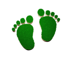 Footprint shape made of green grass and Rock ground texture cross section with 3d illustration png