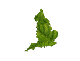 England map made of green leaves ecology concept png