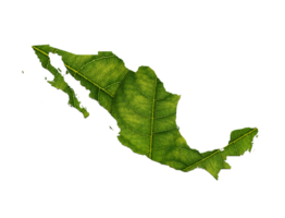 Mexico map made of green leaves ecology concept png