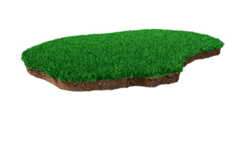 Nauru Map Grass and ground Map texture 3d illustration png