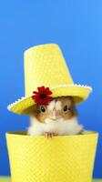 Cute little chicken wearing a hat on colored background with copy space. AI generative photo