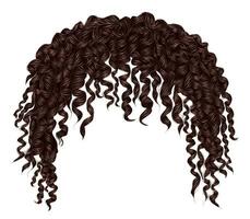 trendy curly disheveled african Brown hair  . realistic  3d . fashion beauty style .unisex women  men.afro vector