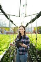 mujer agricultora asiática que busca verduras orgánicas y sostiene una tableta para verificar pedidos o una granja de calidad foto