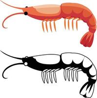 Orange Prawns Shrimp Flat Style Vector Illustration, Caridean Shrimp Colored and Black and White Stock Vector Image