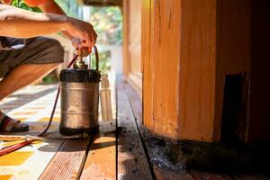 young man chooses to use termite control chemicals that are not toxic to humans mixed with water in tank for spraying to eliminate termites. enabling young man to spray termite repellant by himself photo