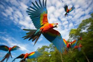 rebaño de vibrante aves altísimo en un claro azul cielo foto