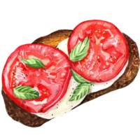 Watercolor sandwiches hand painted snacks. Flat lay food illustration. Traditional tapas. Bruschetta watercolor hand drawn set isolated on white background. Sandwiches with avocado tomato and berries. png