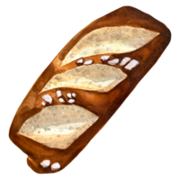 waterverf schattig bakkerij brood verzameling illustratie reeks croissant baguette brood bagel broodjes heet kruis broodje. waterverf reeks van divers gebakjes. waterverf illustratie van voedsel. png