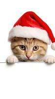 Funny kitten in red christmas hat peeking from behind blank banner. AI generative photo