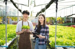 Man and woman working on lettuce plantation in farm using tablet and laptop photo