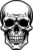 Skull, Black and White Vector illustration