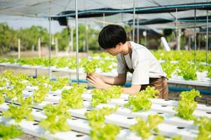 asiático hombre granjero mirando orgánico vegetales y participación tableta para comprobación pedidos o calidad granja foto