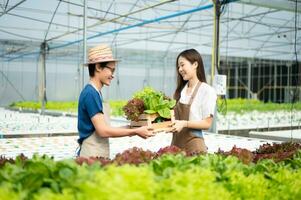 Man and woman working on lettuce plantation in farm using tablet and laptop  in the greenhouse photo