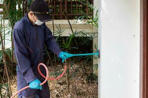 young man chooses to use termite control chemicals that are not toxic to humans mixed with water in tank for spraying to eliminate termites. enabling young man to spray termite repellant by himself photo