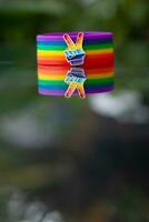 hecho a simbolizar lgbt q el arco iris pulsera es desgastado durante el género igualdad festival y es un festival dónde el lgbt q comunidad se involucra en defendiendo para género igualdad a través de el todo mundo foto