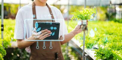 Smart farmer using application by tablet concepts modern vegetables and gardening lettuce at greenhouse. and visual icon.Smart farming photo