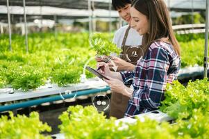 asiático mujer y hombre granjero trabajando juntos en orgánico hidropónico ensalada vegetal granja. utilizando tableta inspeccionar calidad de lechuga en invernadero jardín. foto