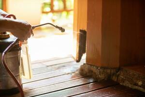 man chose to use exterminate chemicals Termites that are not toxic to humans are mixed with water in a tank for spraying Exterminate termites allow young men to spray termites themselves by himself photo