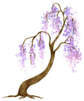 Tree with purple flowers watercolor illustration for Decorative Element png