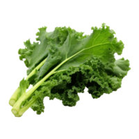 Green kale leaves isolated png