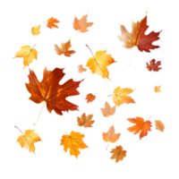 autunno caduta le foglie isolato png